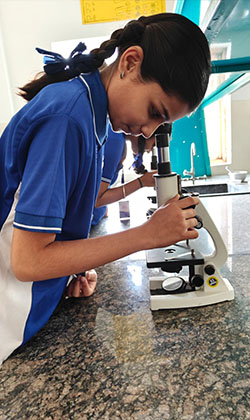 Students at Great International School